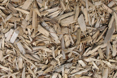 biomass boilers Llandough